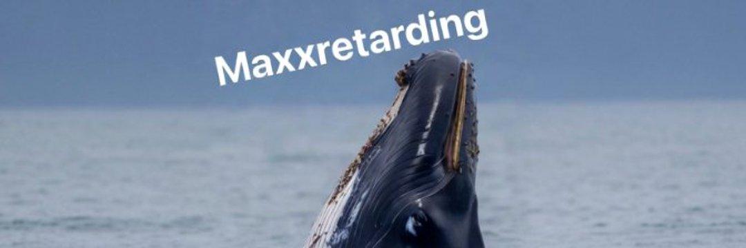 WhaleMaps